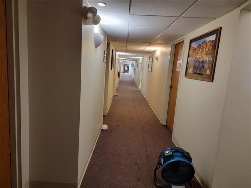 Picture 27