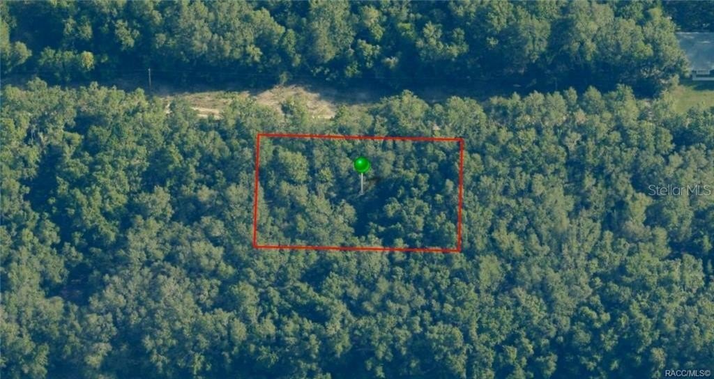 Picture 3