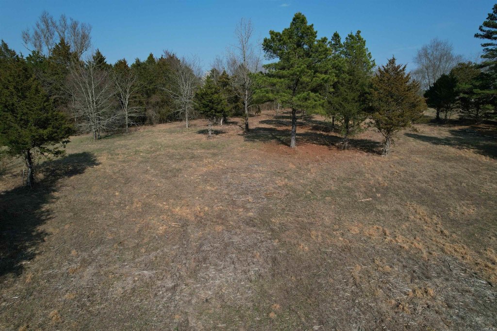 Picture 13