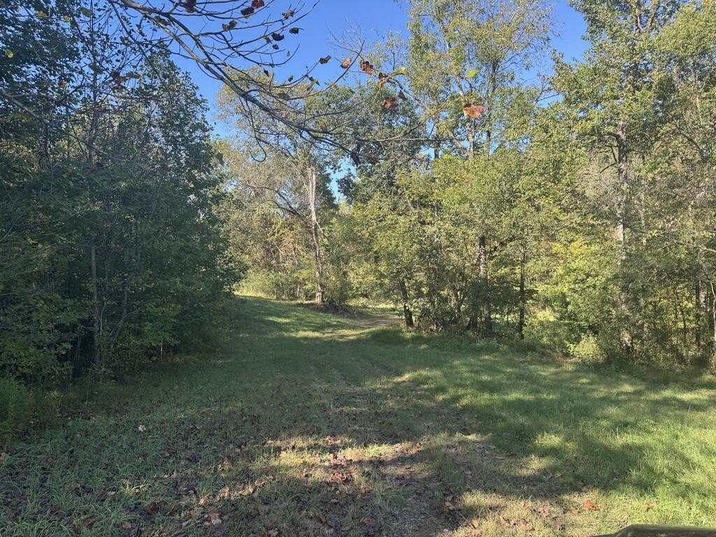 Picture 30