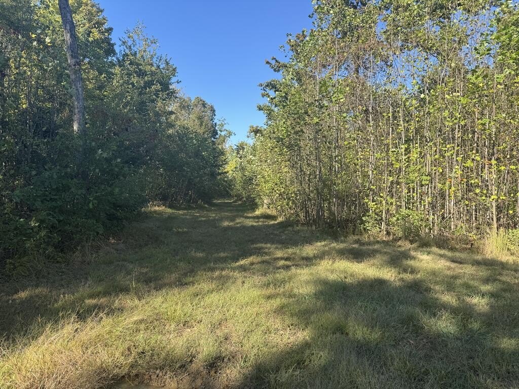 Picture 23