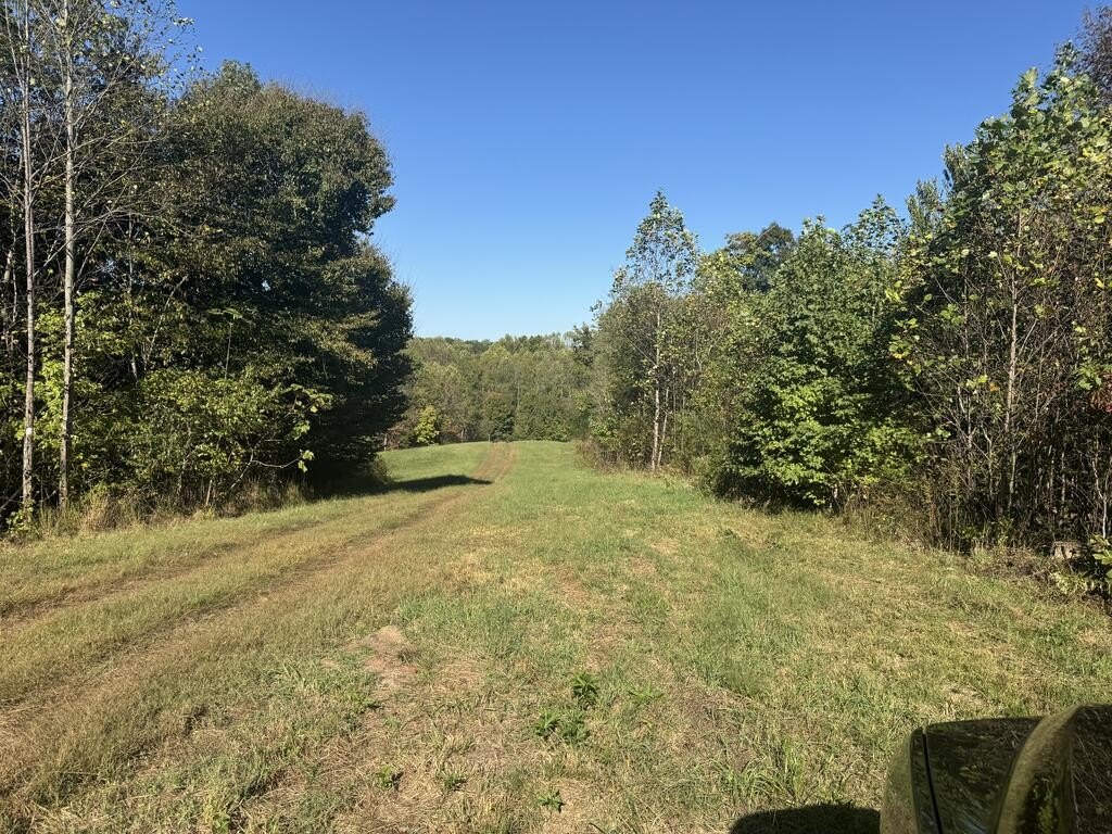 Picture 20