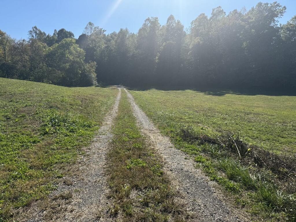 Picture 28