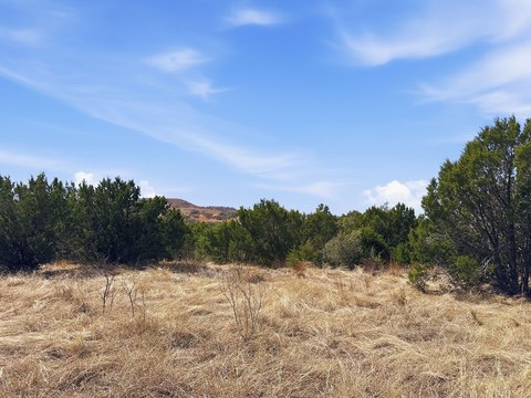 Evant, TX Unimproved Land