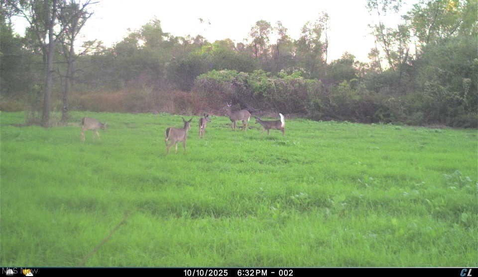 Picture 20