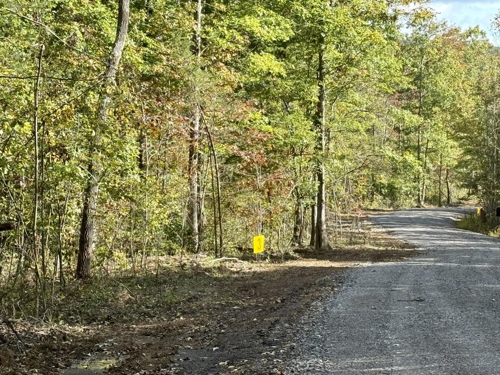 Picture 12