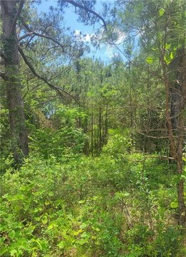 LAND - AUBURN, AL