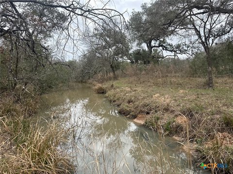 Meyersville Land with Mature Oaks