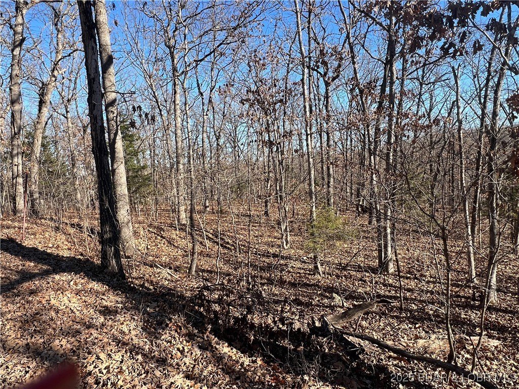 Camdenton Land For Sale
