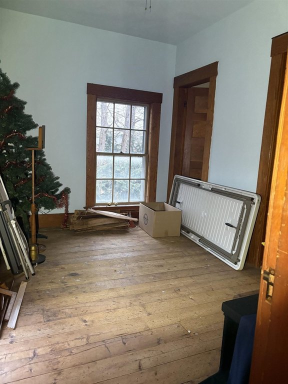 Picture 21