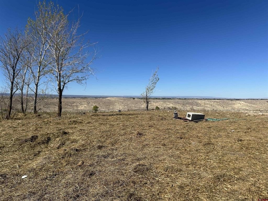 Picture 21