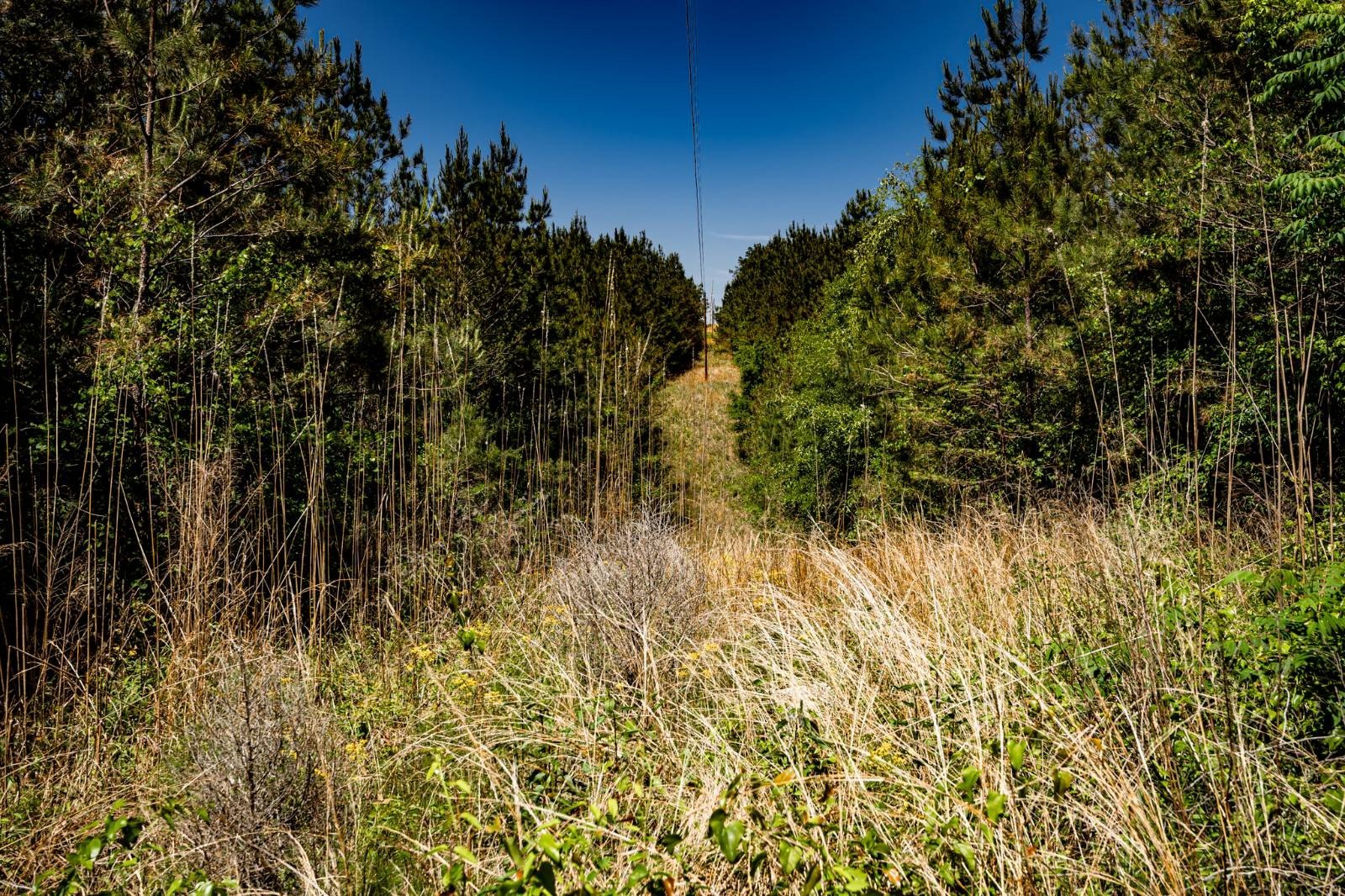 Acreage Near Fulton, MS