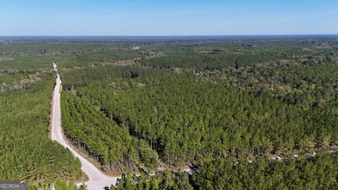197 Acres Timber Investment Opportunity
