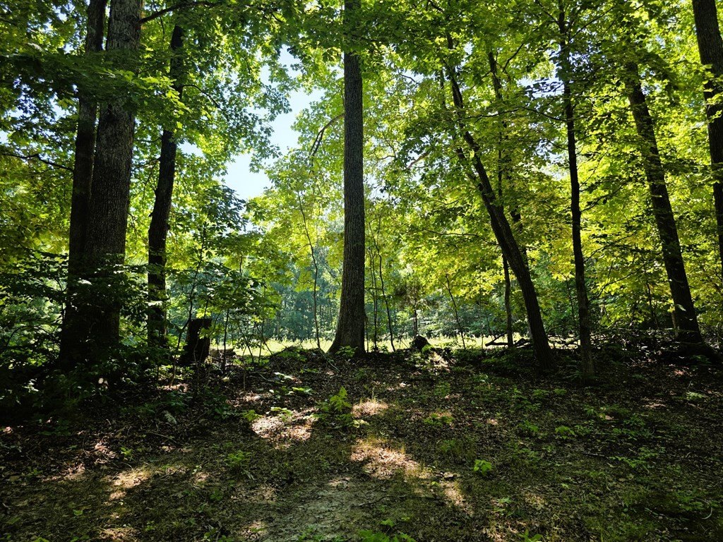Picture 20