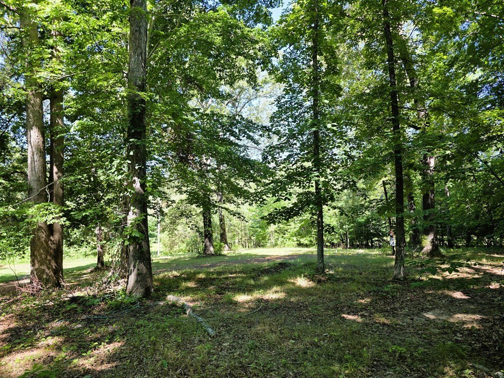 Picture 23
