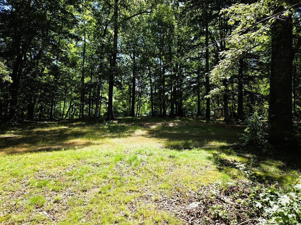 Picture 26