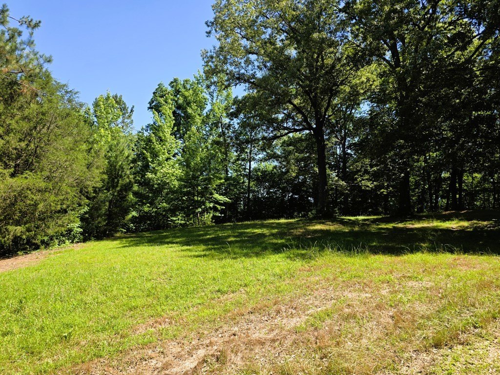 Picture 28