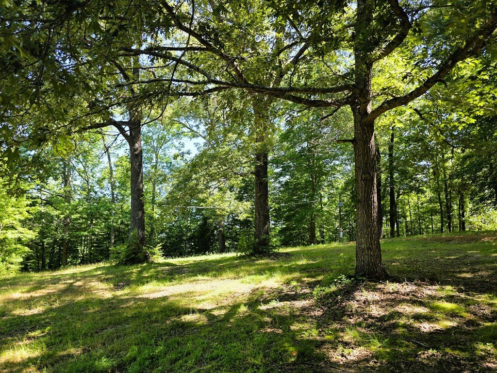 Picture 19