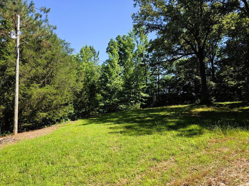 Picture 27