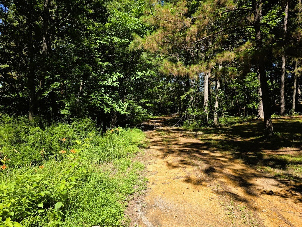 Picture 34