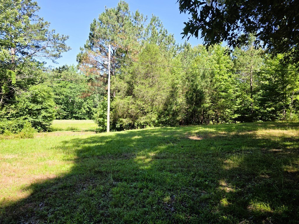 Picture 29