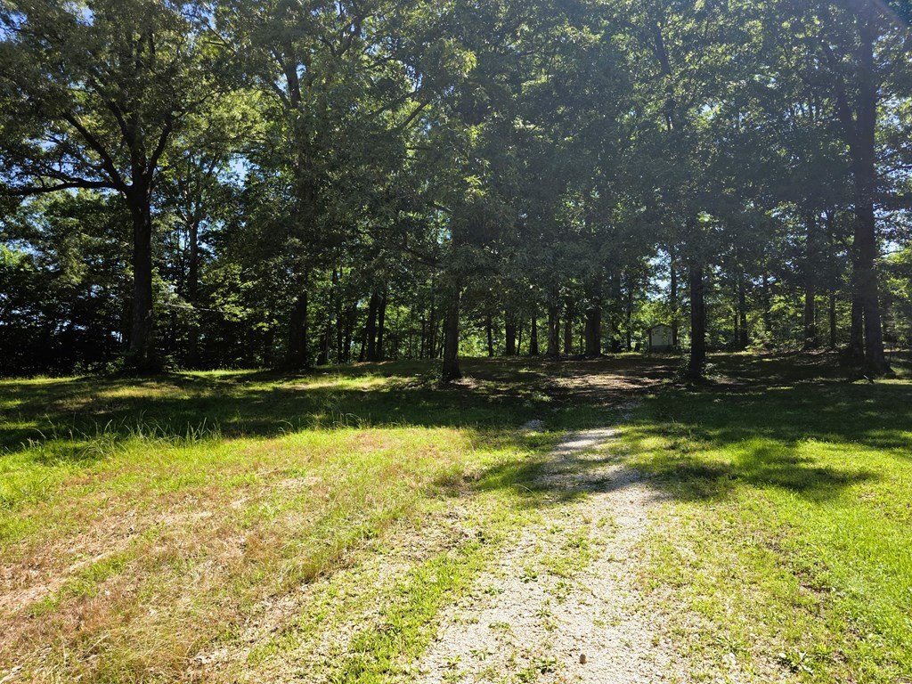 Picture 31