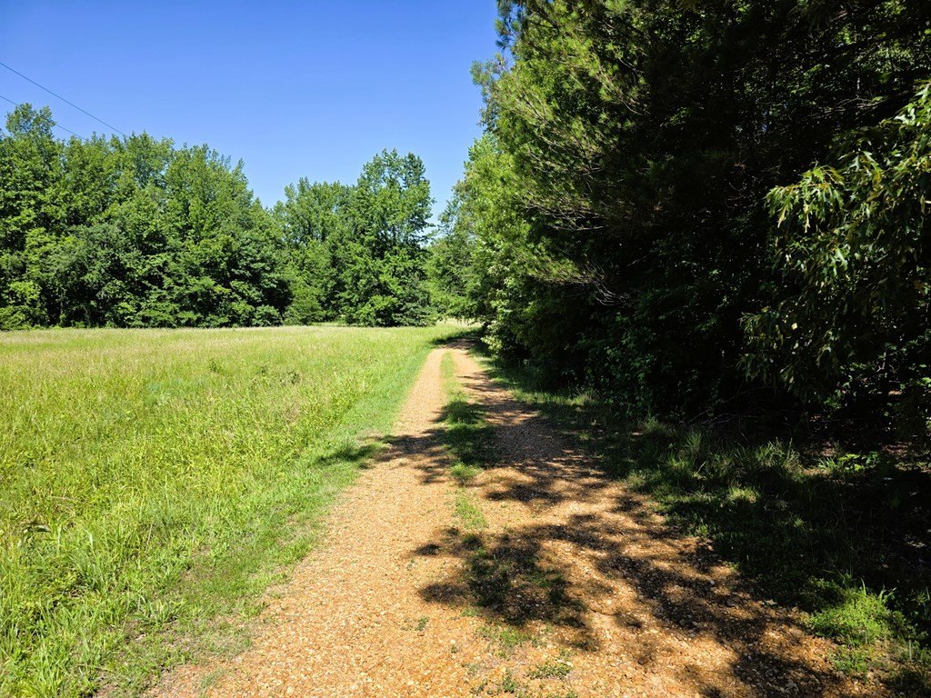 Picture 35