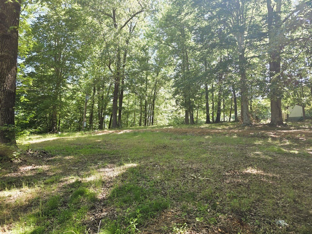 Picture 22