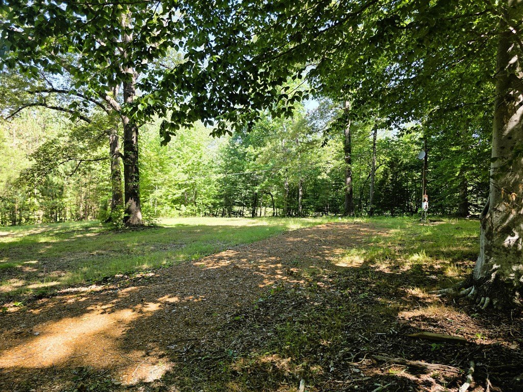 Picture 10