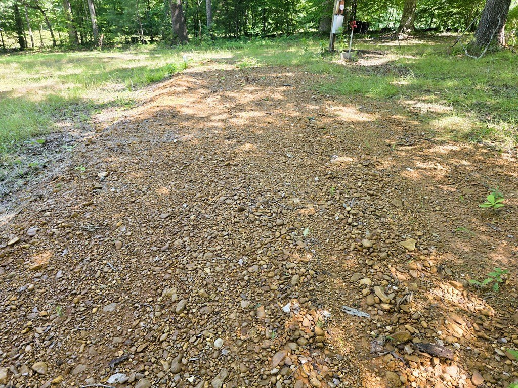Picture 17