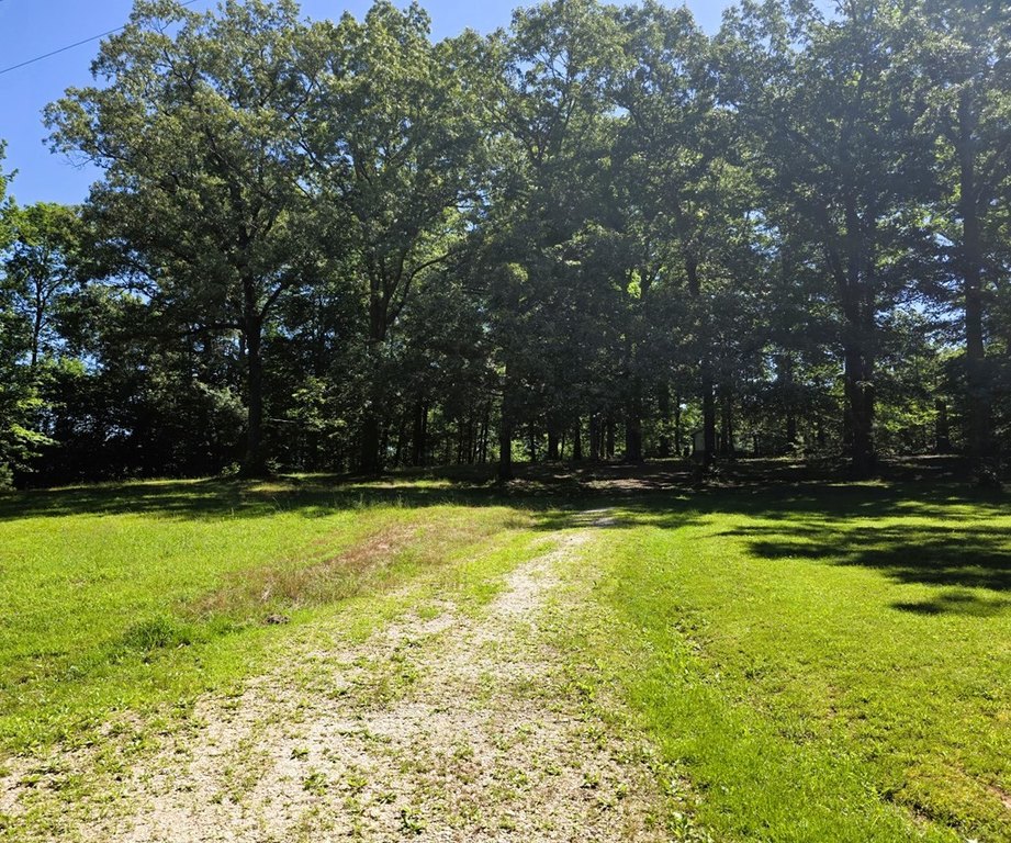 Picture 33