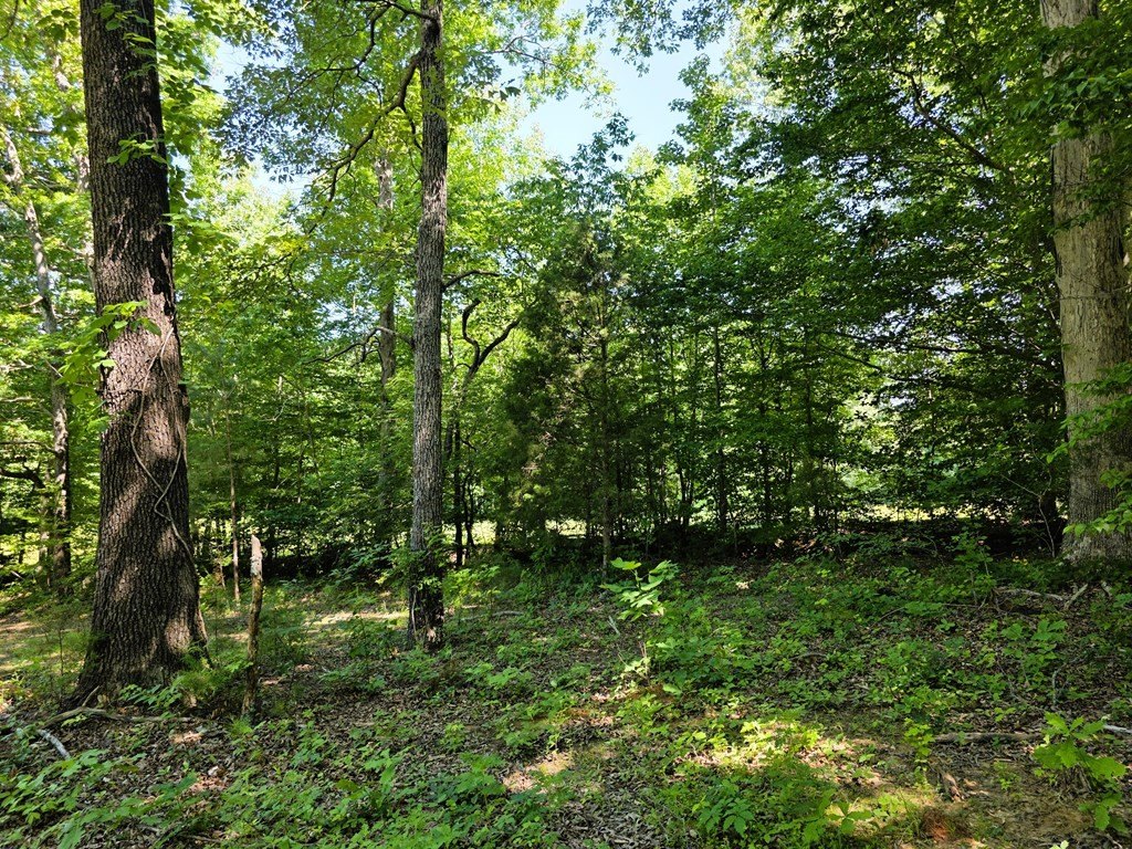 Picture 25
