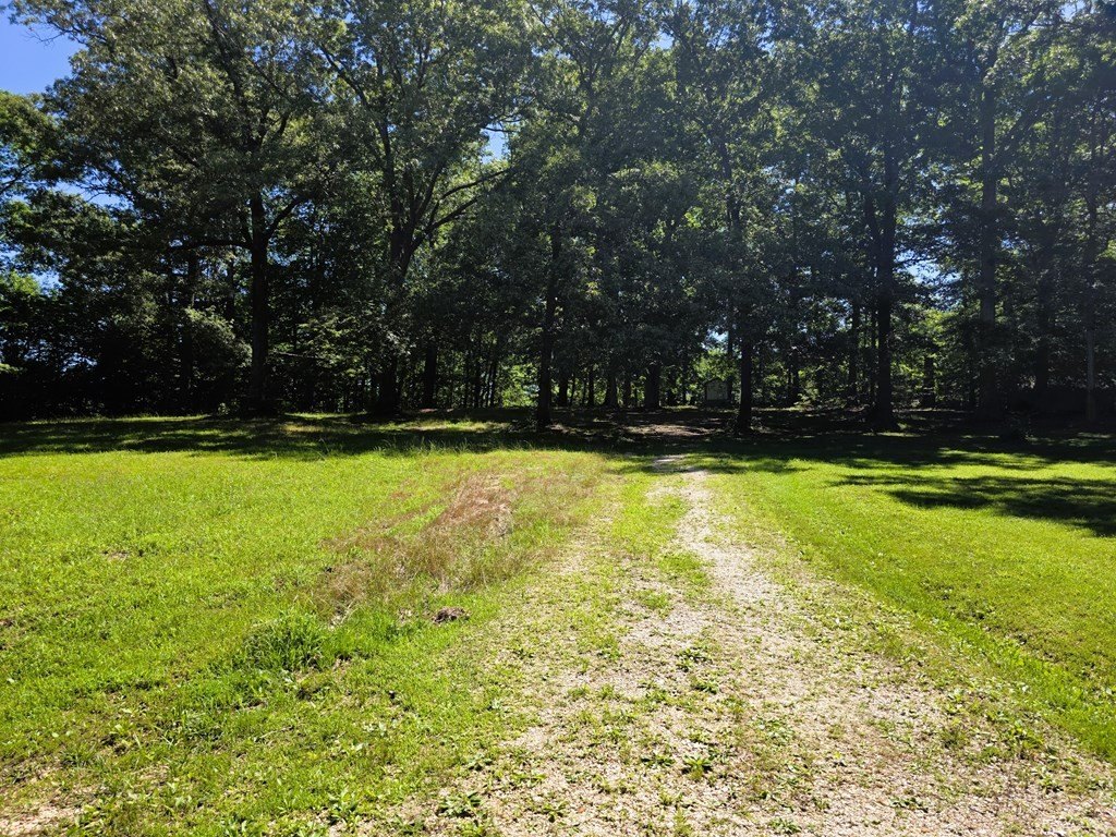 Picture 30