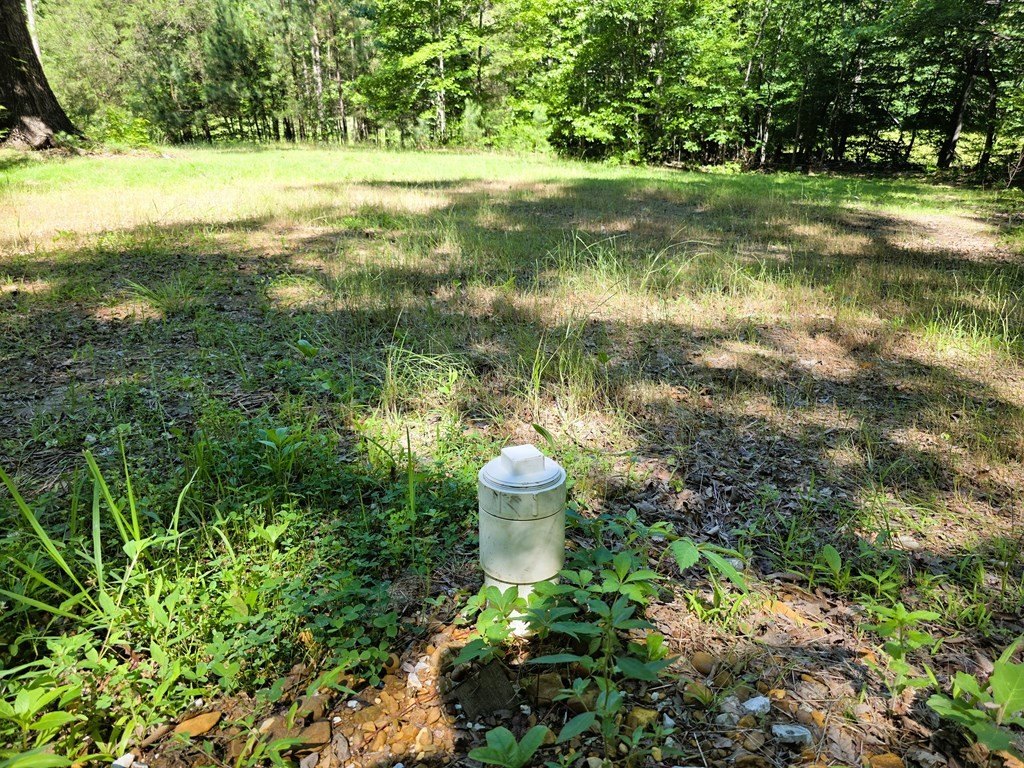 Picture 6