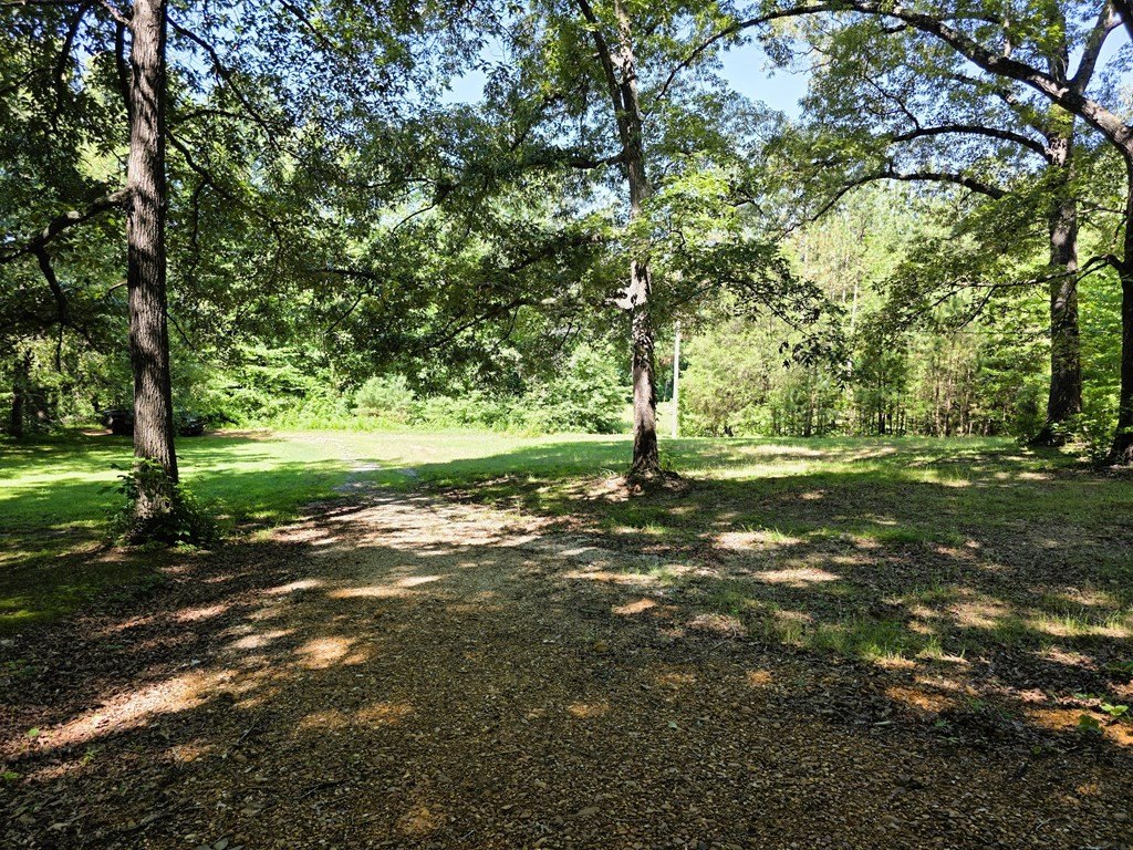 Picture 21