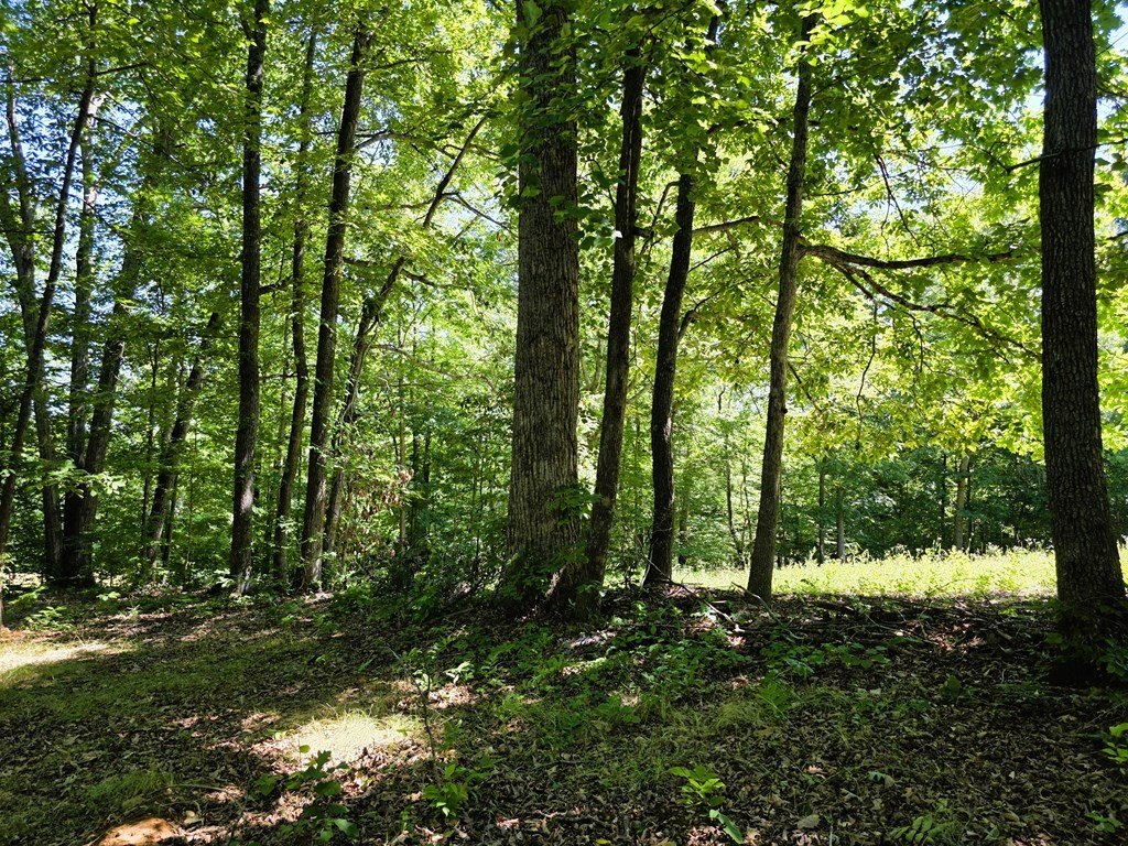 Picture 24
