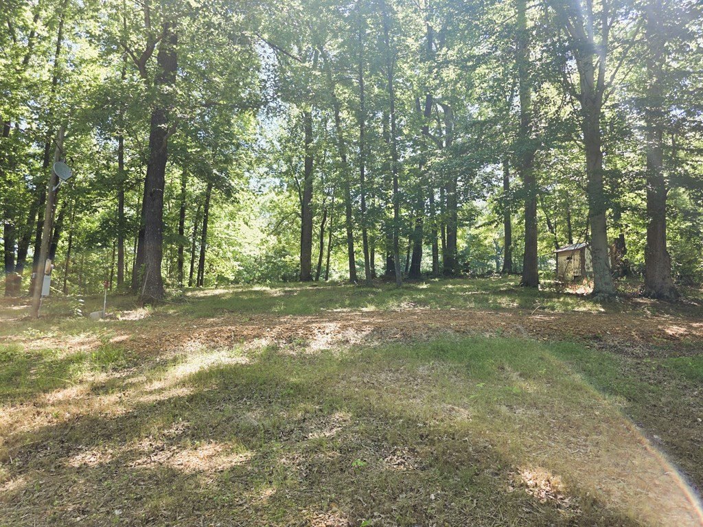 Picture 15