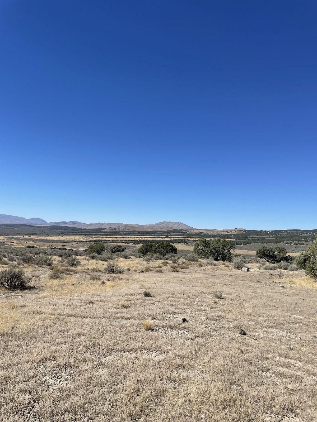 Land Near South Fork Reservoir