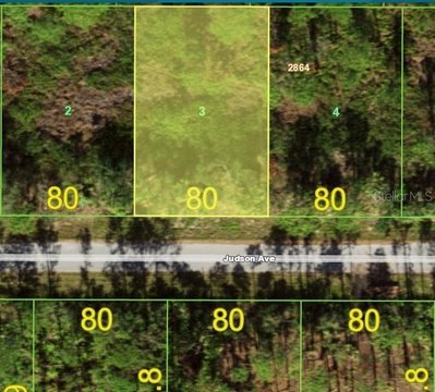 Residential Land in Port Charlotte