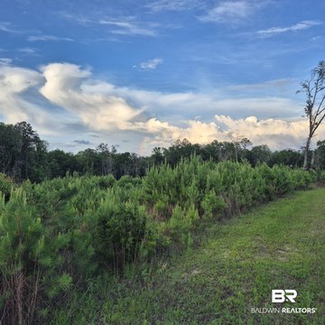 Recreational Hunting Land