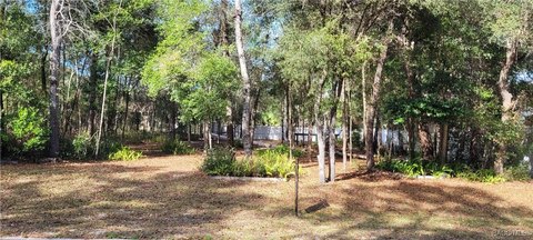 Vacant Lot in Citrus Springs