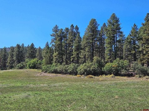 LAND, Bayfield, CO