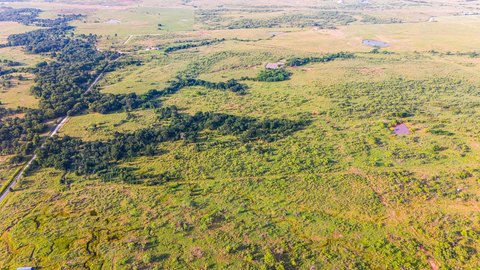 Fenced Agricultural Land Tract