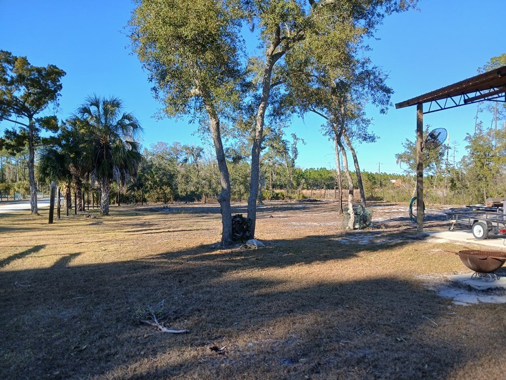 Picture 6
