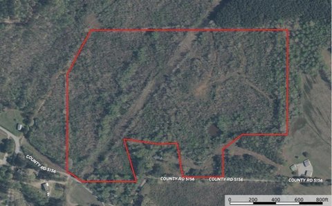 Timber Hunting and Recreation Land