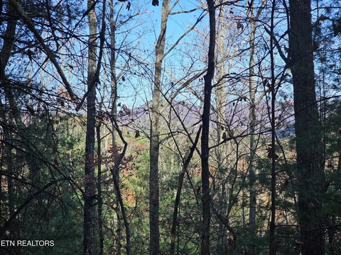 Mountain View Homesite Opportunity