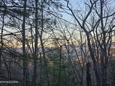 Mountain View Homesite Opportunity