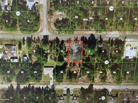 LAND - Citrus Springs, FL