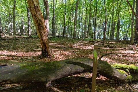 Land, Menomonie, WI