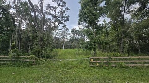 Land, WEBSTER, FL